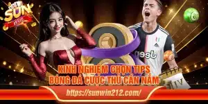 Kinh nghiệm chọn tips bóng đá cược thủ cần nắm