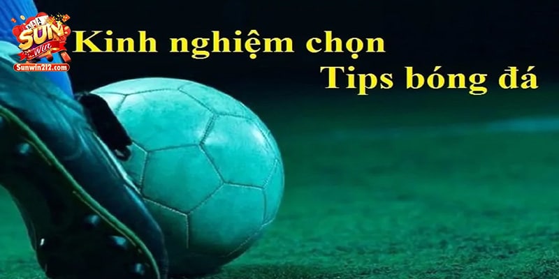 Tổng hợp những kinh nghiệm chọn tips bóng hiệu quả từ chuyên gia